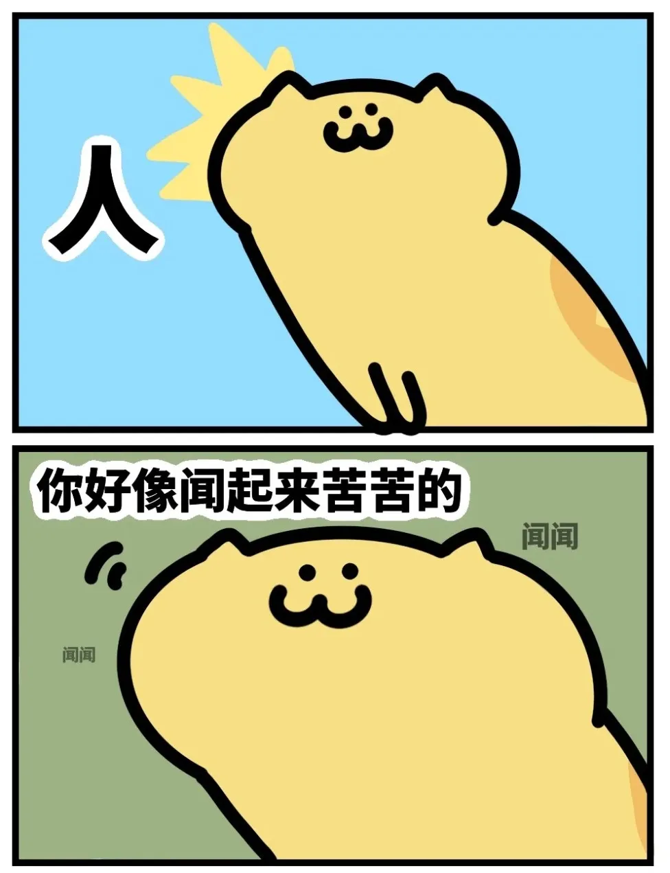640.jpg