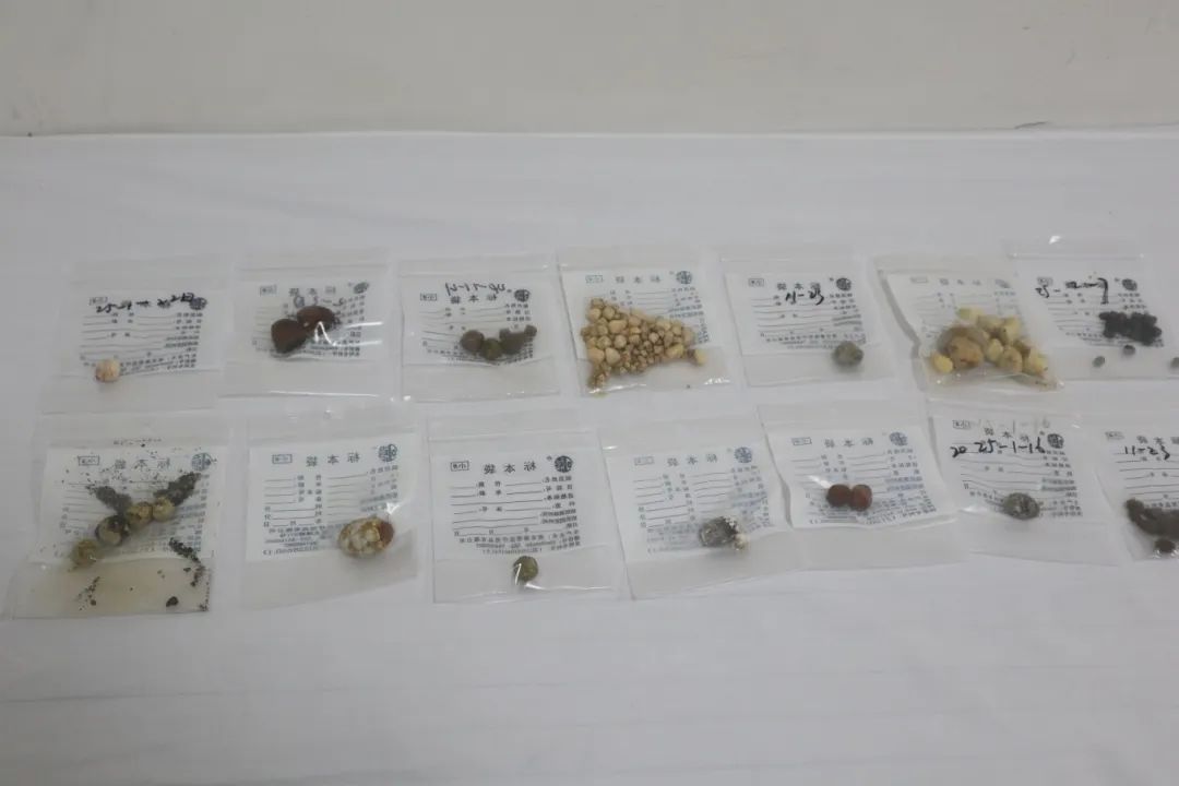 640.jpg